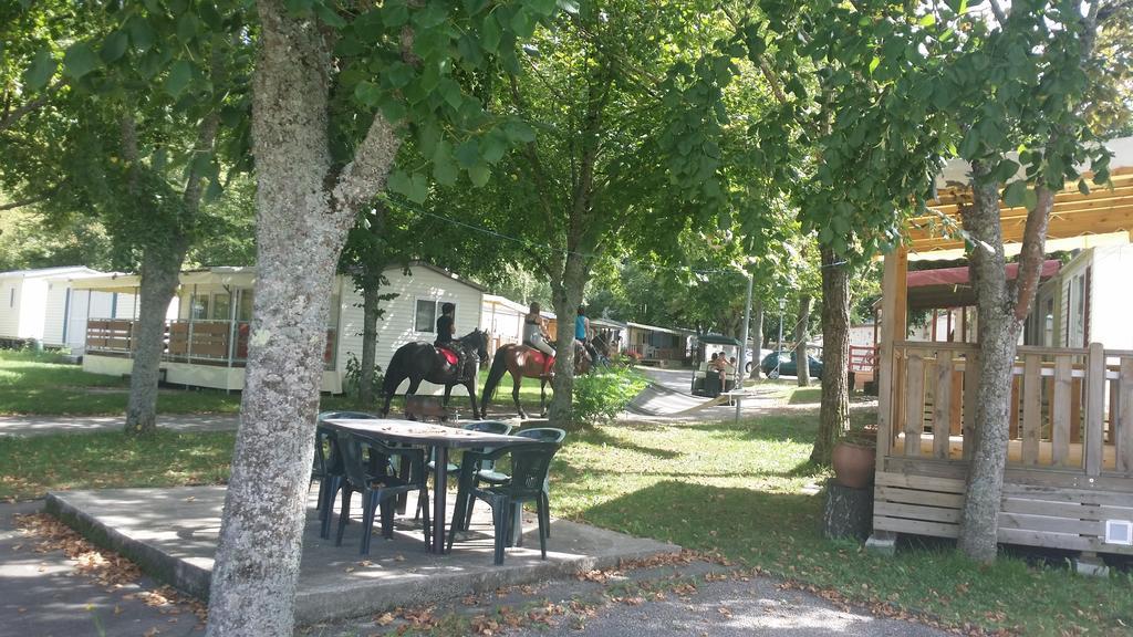 Camping Le Pre Cathare Lavelanet Εξωτερικό φωτογραφία